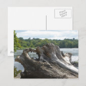 Stomp op James River Briefkaart (Voorkant / Achterkant)