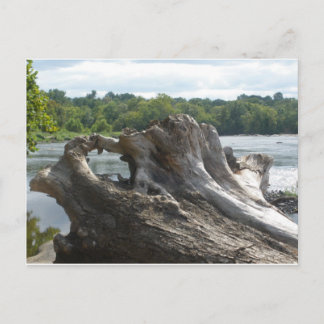 Stomp op James River Briefkaart