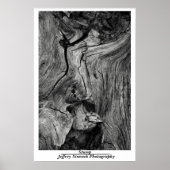 Stompen Poster (Voorkant)