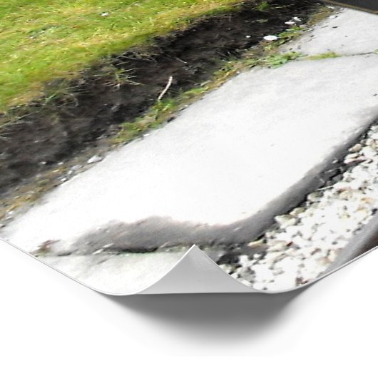 Stomtrein Zebedee Poster (Hoek)