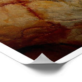 Stone Age Altamira Bison Buffalo Art Poster (Hoek)