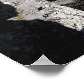 Stone Beehive Monk Huts Clochanson Skellig Michael Poster (Hoek)