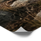 Stone Bison Endless Plains Poster (Hoek)