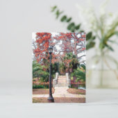 Stone Bridge City Park New Orleans Briefkaart (Staand voorkant)