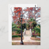 Stone Bridge City Park New Orleans Briefkaart (Voorkant / Achterkant)