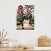 Stone Bridge City Park New Orleans Poster (Keuken)