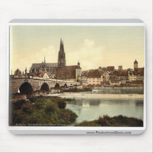 Stone Bridge (d.w.z. Steinerne Brucke) en kathedra Muismat
