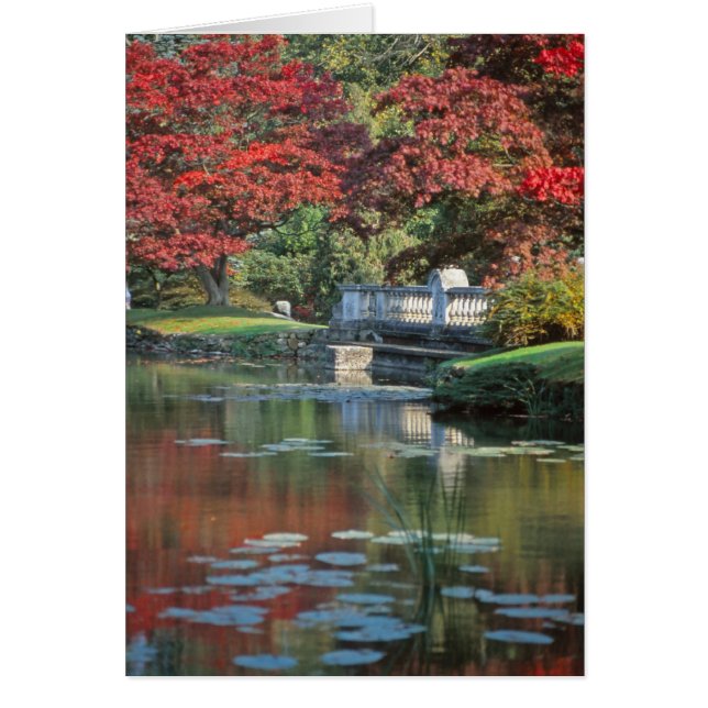 Stone bridge-kaart (Voorkant)