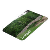 Stone Bridge, Ledges State Park, Iowa Magneet (Linkerzijde)