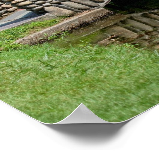 Stone Bridge Lilypads Natuur Poster (Hoek)