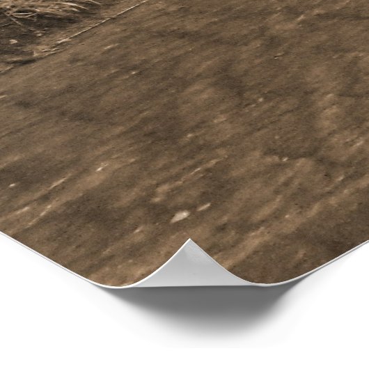 Stone Bridge met stream Poster (Hoek)