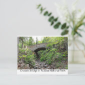 Stone bridge - Nationaal Park Acadia Briefkaart (Staand voorkant)