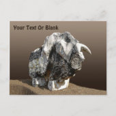 Stone Bull - Ma'alot Briefkaart (Voorkant)