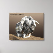 Stone Bull - Ma'alot Canvas Afdruk (Voorkant)