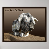 Stone Bull - Ma'alot Poster (Voorkant)