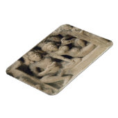 Stone carving of lovers die van een dansvoorstelli magneet (Linkerzijde)