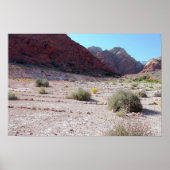 Stone Circle Red Rock Canyon Poster (Voorkant)