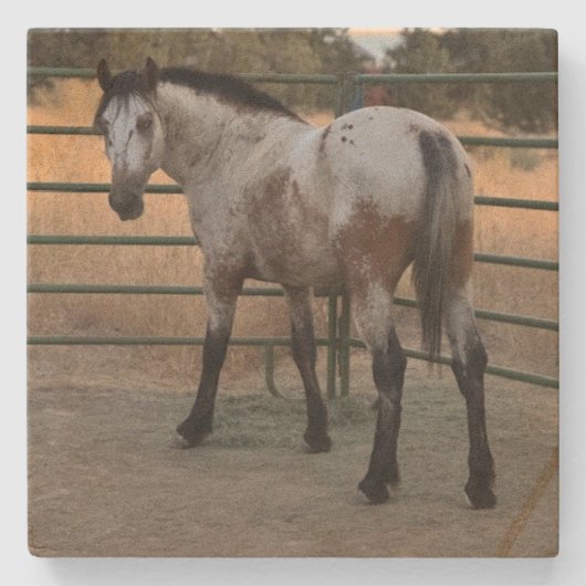 Stone Coaster_appy backside Stenen Onderzetter (Voorkant)