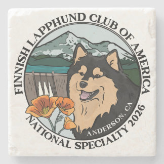 Stone Coaster Color Stenen Onderzetter