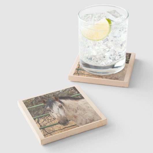 Stone Coaster- Happy Appy  Stenen Onderzetter (Zijkant)