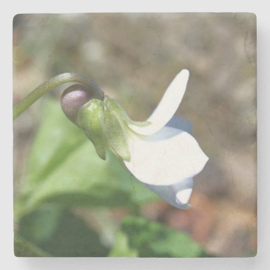 Stone Coaster Stenen Onderzetter (Voorkant)