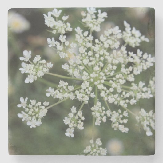 Stone Coaster Stenen Onderzetter (Voorkant)