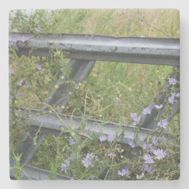 Stone Coaster Stenen Onderzetter