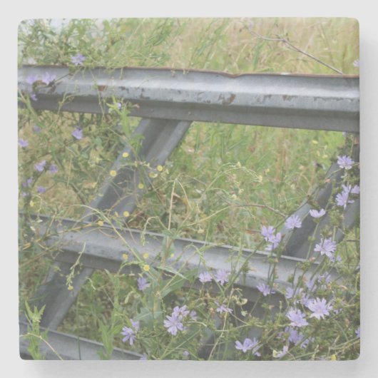 Stone Coaster Stenen Onderzetter (Voorkant)