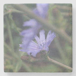 Stone Coaster Stenen Onderzetter