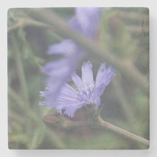 Stone Coaster Stenen Onderzetter (Voorkant)