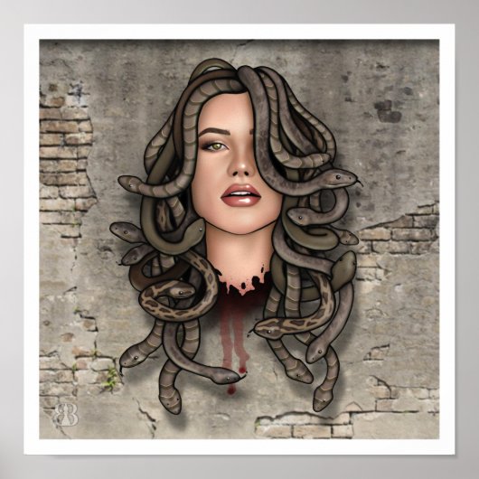 Stone Cold Beauty Poster (Voorkant)