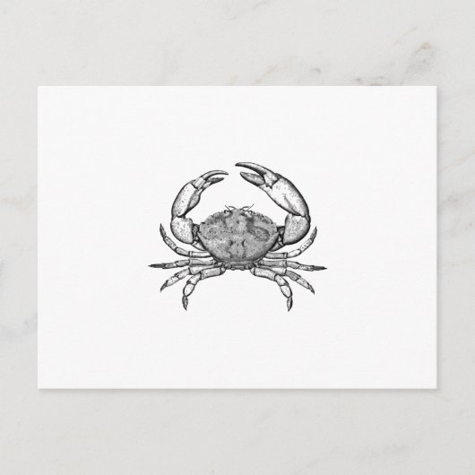 Stone Crab Logo (lijnkunst) Briefkaart (Voorkant)