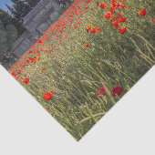 Stone Farmhouse met een ruby Red Tulip Field Tissuepapier (Detail)