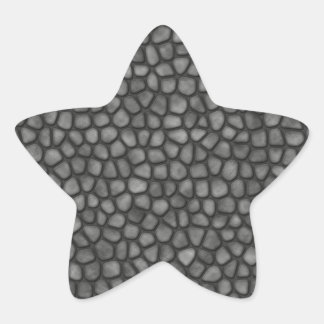 Stone Floor Ster Sticker