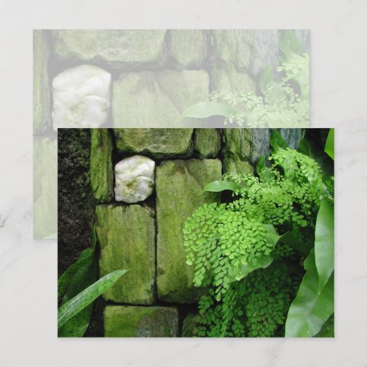 Stone Garden - Briefkaart (Voorkant / Achterkant)
