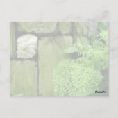 Stone Garden - Briefkaart (Achterkant)