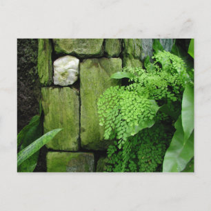 Stone Garden - Briefkaart