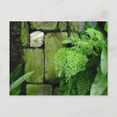 Stone Garden - Briefkaart (Voorkant)