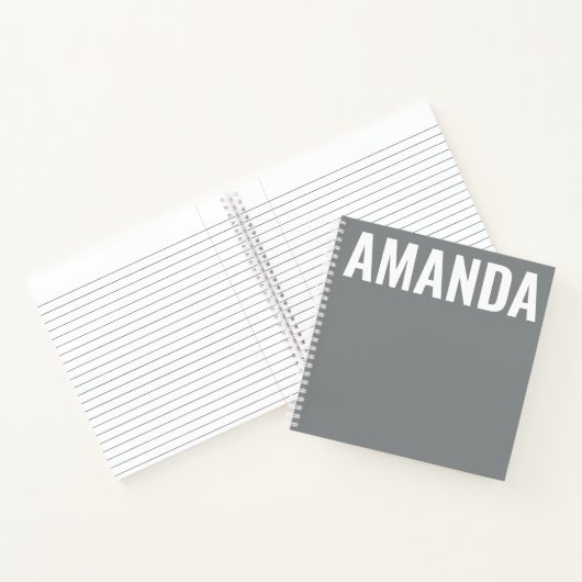 Stone Gray Modern Minimalist Journal Diary Notitieboek (Binnen)