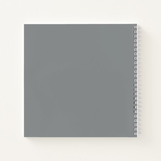 Stone Gray Modern Minimalist Journal Diary Notitieboek (Achterkant)