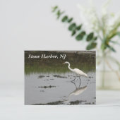 Stone Harbour Egret Briefkaart (Staand voorkant)