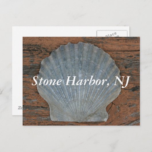 Stone Harbour Scallop Shell Briefkaart (Voorkant / Achterkant)
