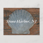 Stone Harbour Scallop Shell Briefkaart (Voorkant)