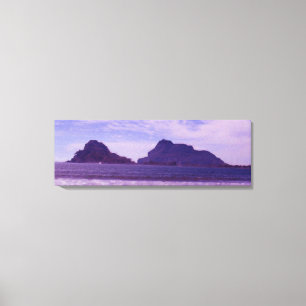 Stone Island Oil Painting Canvas Afdruk