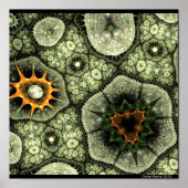 Stone Lichen Poster (Voorkant)