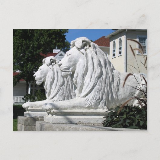 Stone Lions Briefkaart (Voorkant)