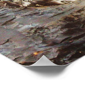 Stone Mountain Carving, Georgia Poster (Hoek)