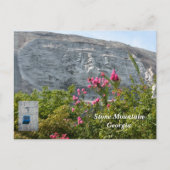 Stone Mountain Georgia Briefkaart (Voorkant)