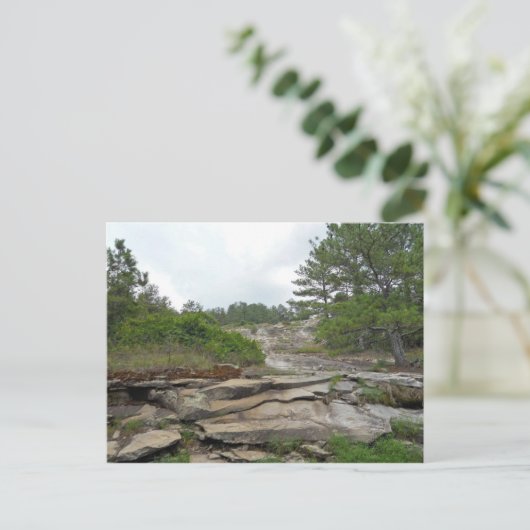 Stone Mountain, Georgia Briefkaart (Staand voorkant)