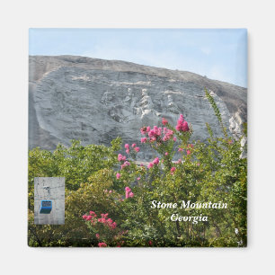 Stone Mountain Georgia Magneet